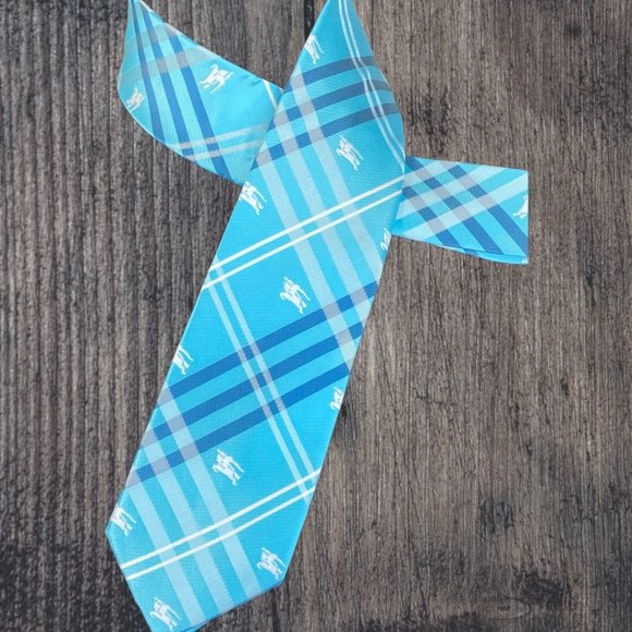 Other - MEN'S 100% SILK TIE (NEW)